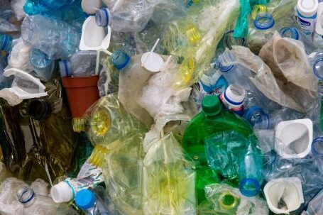 Plastic Waste - Close Up Photo of Plastic Bottles