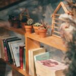 Home - Potted Succulent Plants on the Bookshelf