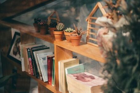 Home - Potted Succulent Plants on the Bookshelf