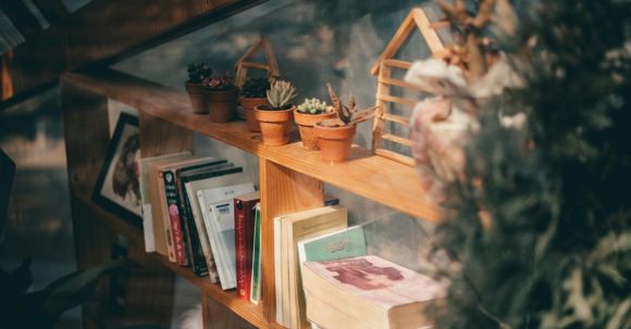 Home - Potted Succulent Plants on the Bookshelf