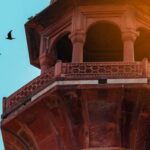 Historical Architecture - Birds Flying Above a Historical Tower