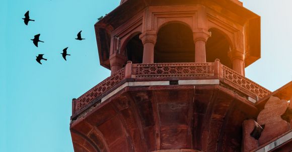 Historical Architecture - Birds Flying Above a Historical Tower