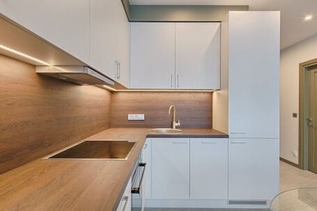 Interior Design - White Wooden Modular Kitchen