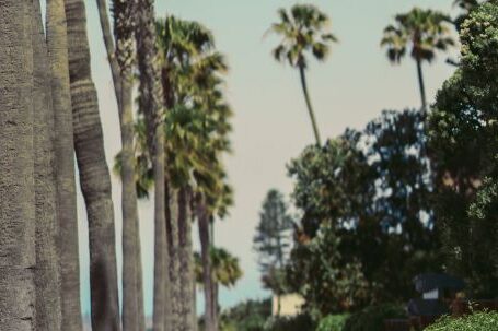 Cycle - Woman in White Dress Sitting on Bench Near Palm Trees