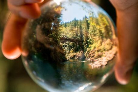 Environmental - Person Holding Clear Glass Ball