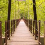 Park - Brown Wooden Foot Bridge Surrounded by Trees
