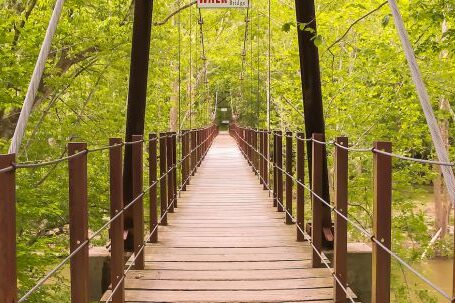 Park - Brown Wooden Foot Bridge Surrounded by Trees