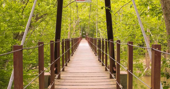 Park - Brown Wooden Foot Bridge Surrounded by Trees