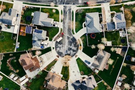 Neighborhood - Aerial View of House Village