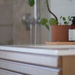 Bathroom - Green Leafed Plant On Brown Pot