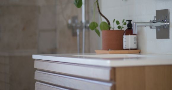 Bathroom - Green Leafed Plant On Brown Pot