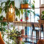 Interior Design - Photography of Table And Chairs Near Plants
