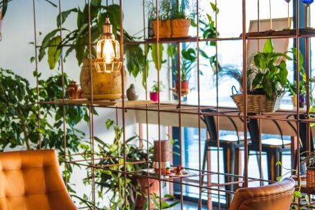 Interior Design - Photography of Table And Chairs Near Plants