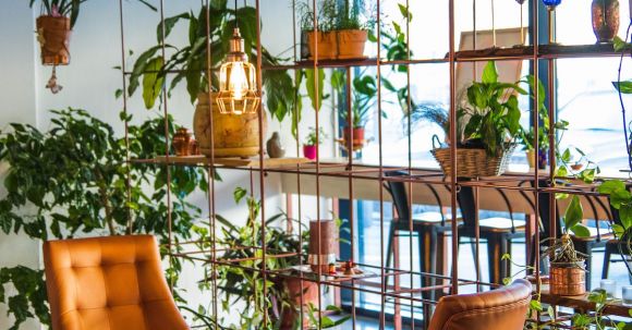 Interior Design - Photography of Table And Chairs Near Plants